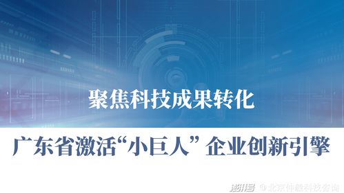 仲毅咨询 聚焦科技成果转化，激活广东中小企业创新引擎