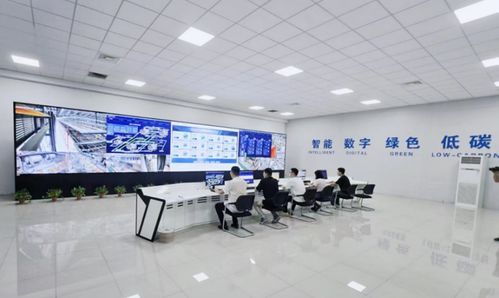 一座工厂的突围之路 大连电瓷副董事长兼总经理应莹庭与百年绝缘子企业的转型智慧