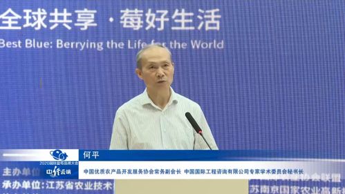 中国蓝莓产业发展呈现六大态势 社会经济咨询视角